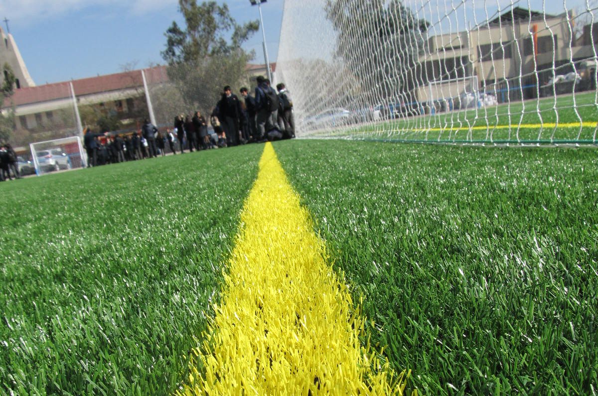 Cancha de Pasto 2026